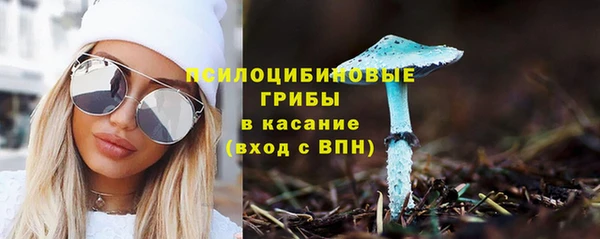 PSILOCYBIN Балахна