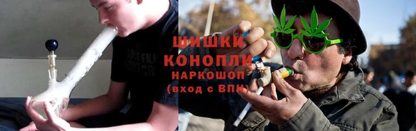 PSILOCYBIN Балахна