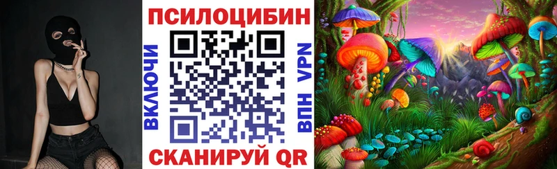 что такое Электросталь Галлюциногенные грибы прущие грибы